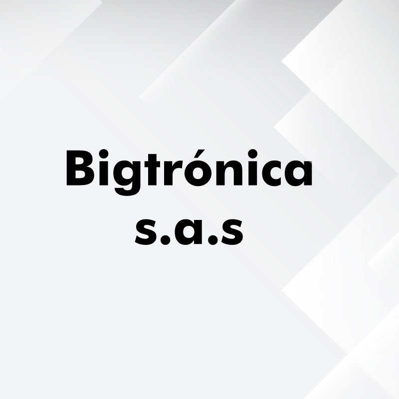 Bigtronica s.a.s.