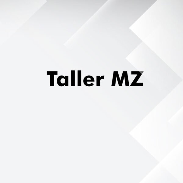 Taller MZ